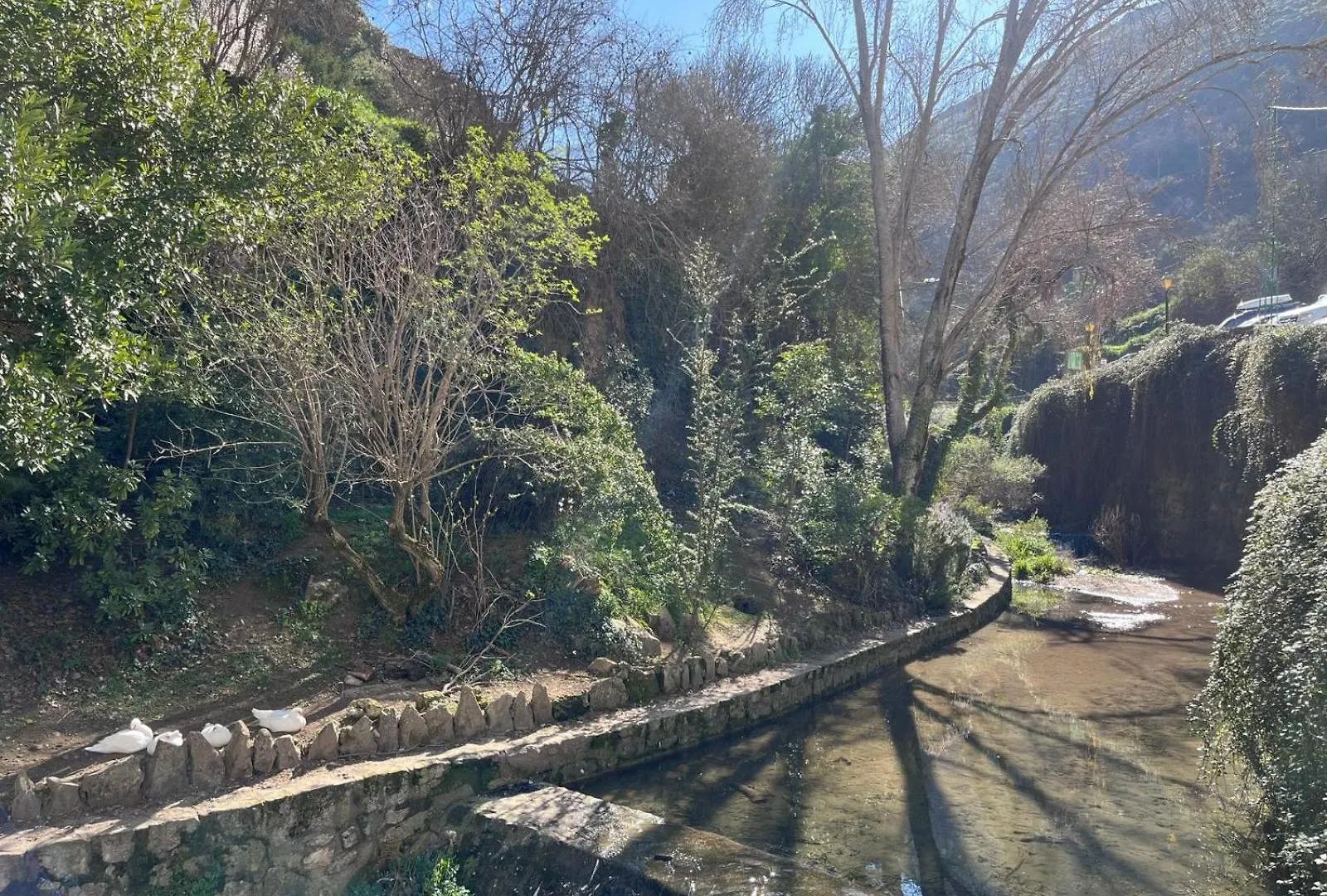 Ml Cazorla Dreams Parking Gratis Apartment