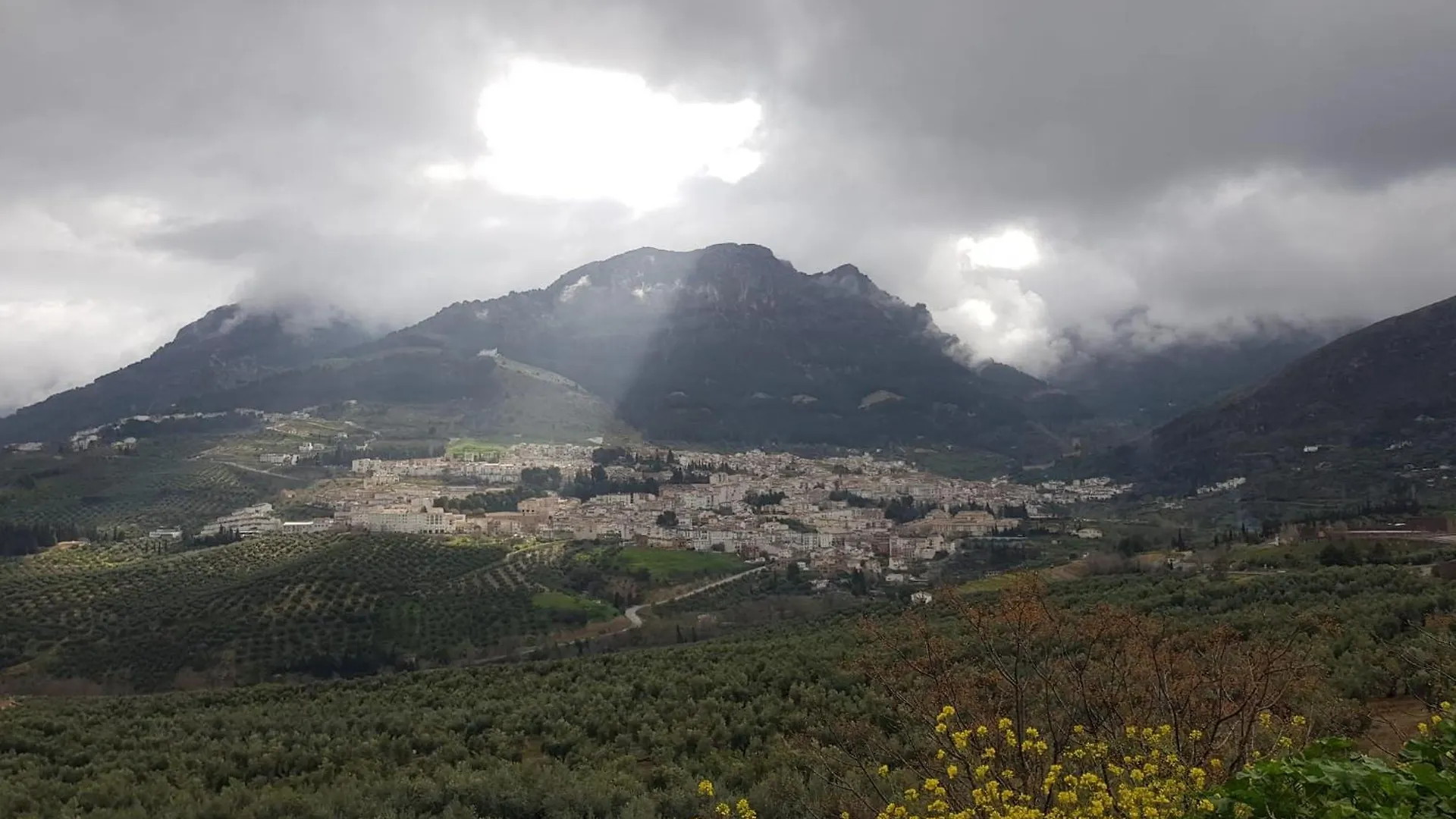 Ml Cazorla Dreams Parking Gratis Apartment